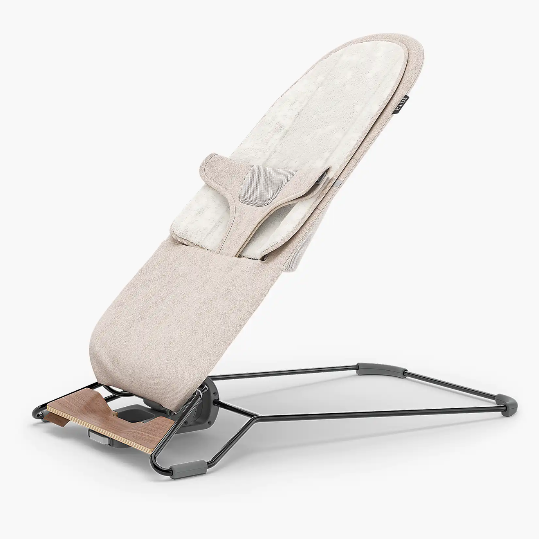 UPPAbaby Mira 2-in-1 Bouncer and Seat