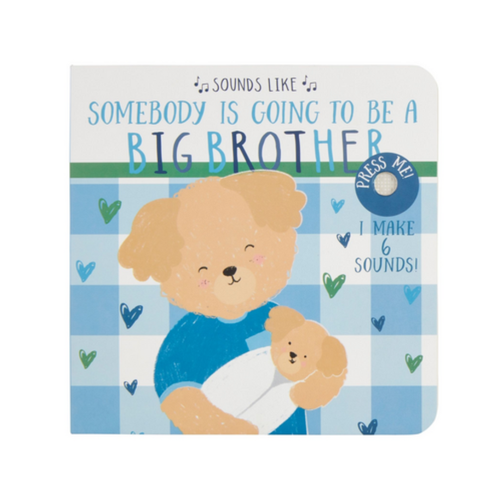 Sounds Like Big Brother Book