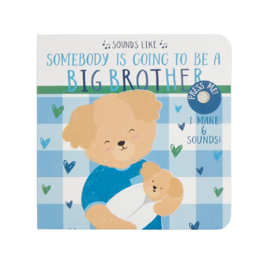 Sounds Like Big Brother Book