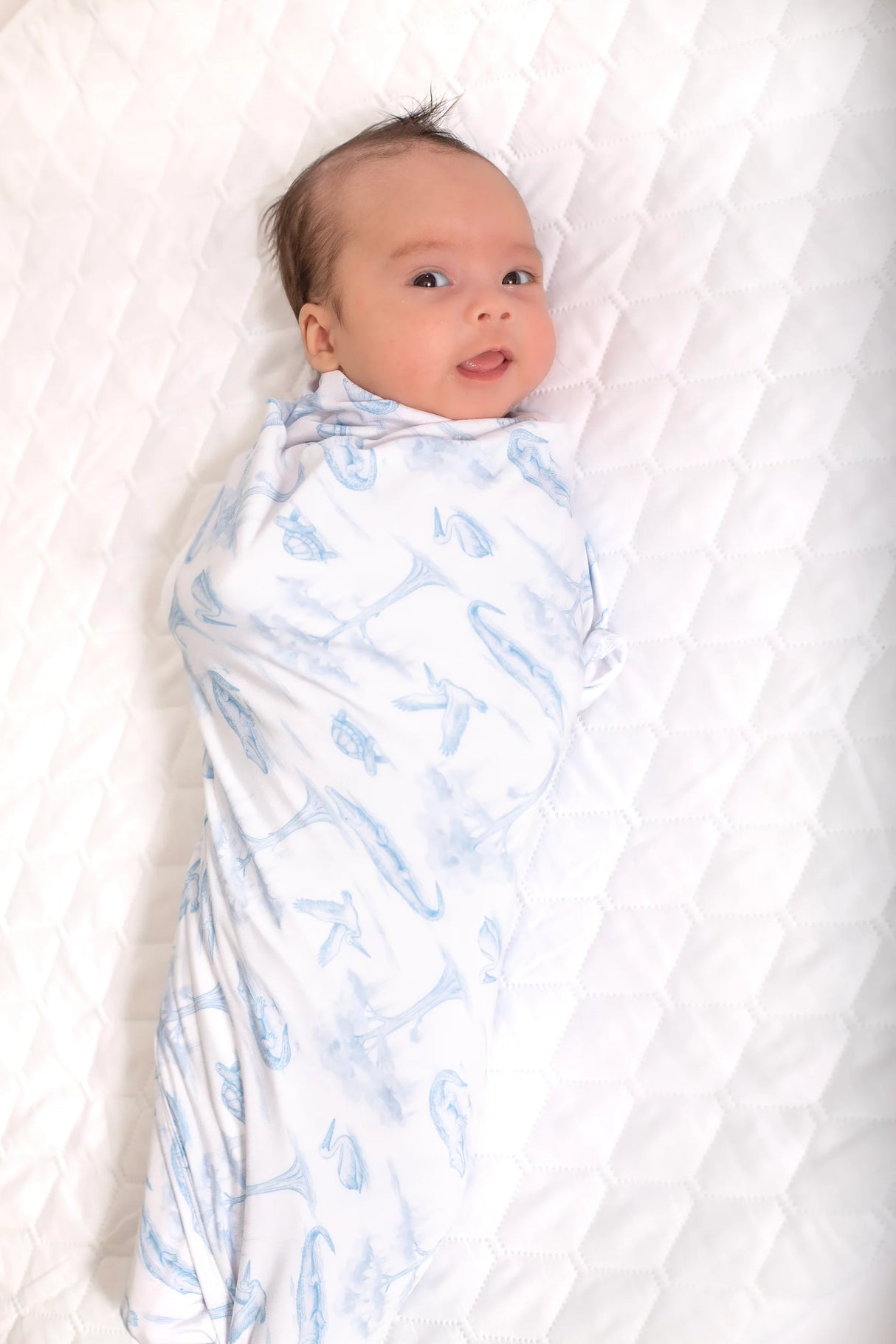 Pearls & Pelicans Blue Bayou Toile Bamboo Swaddle