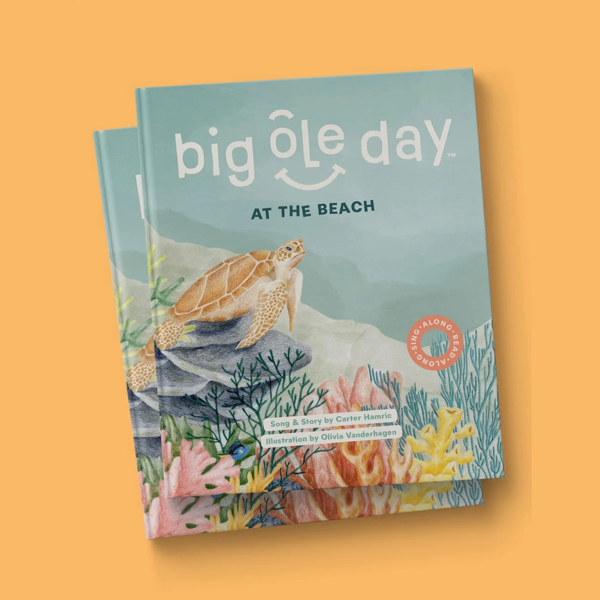 Big Ole Day at the Beach Sing-A-Read-A-Long Book