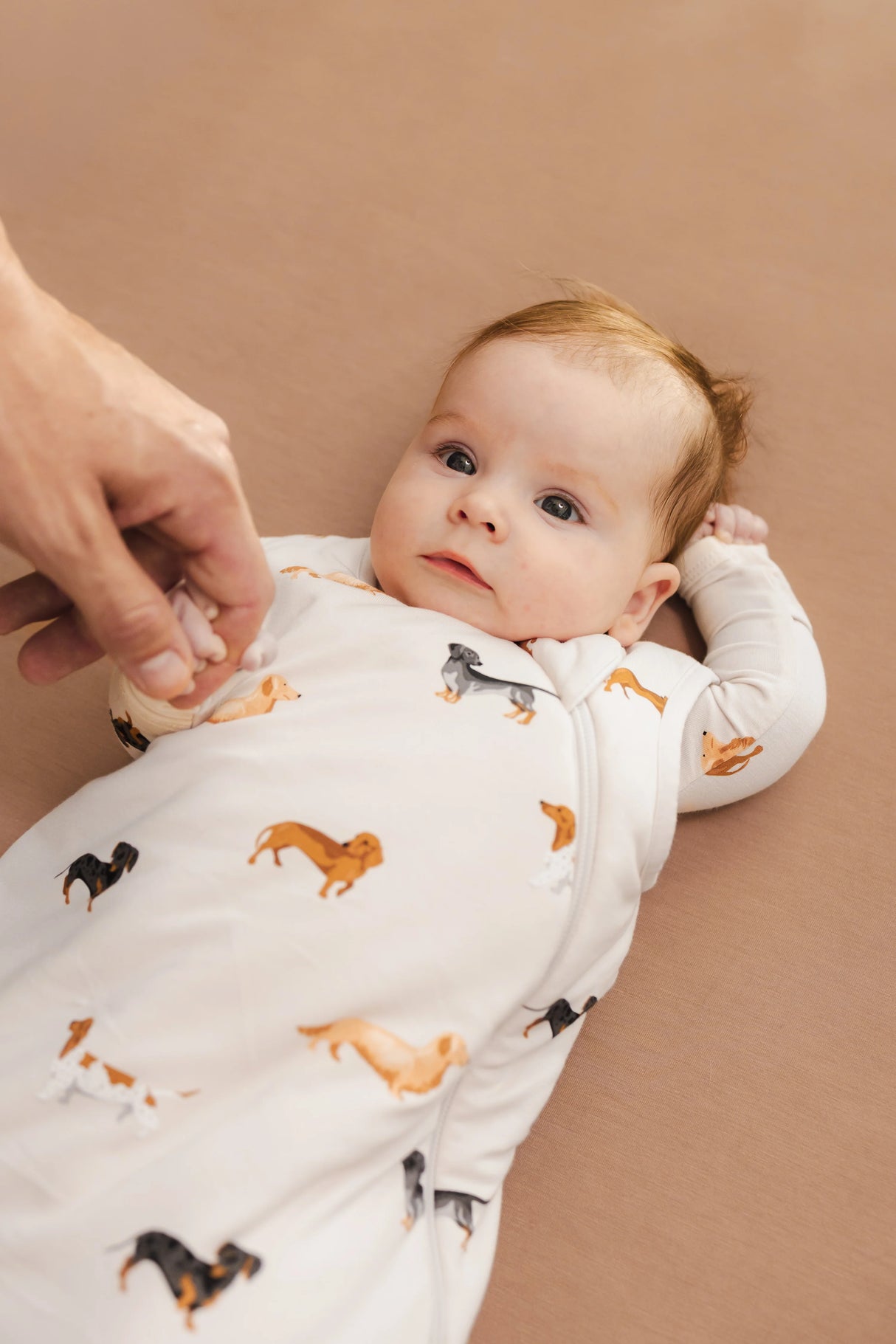 Kyte Baby Bamboo Sleep Bag 1.0 TOG | Dachshund