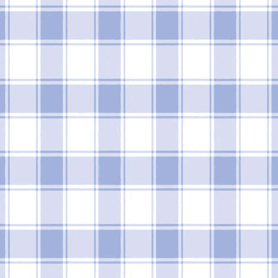 Sugar Bee Clothing Baby Blue Soft Gingham Wash Cloth