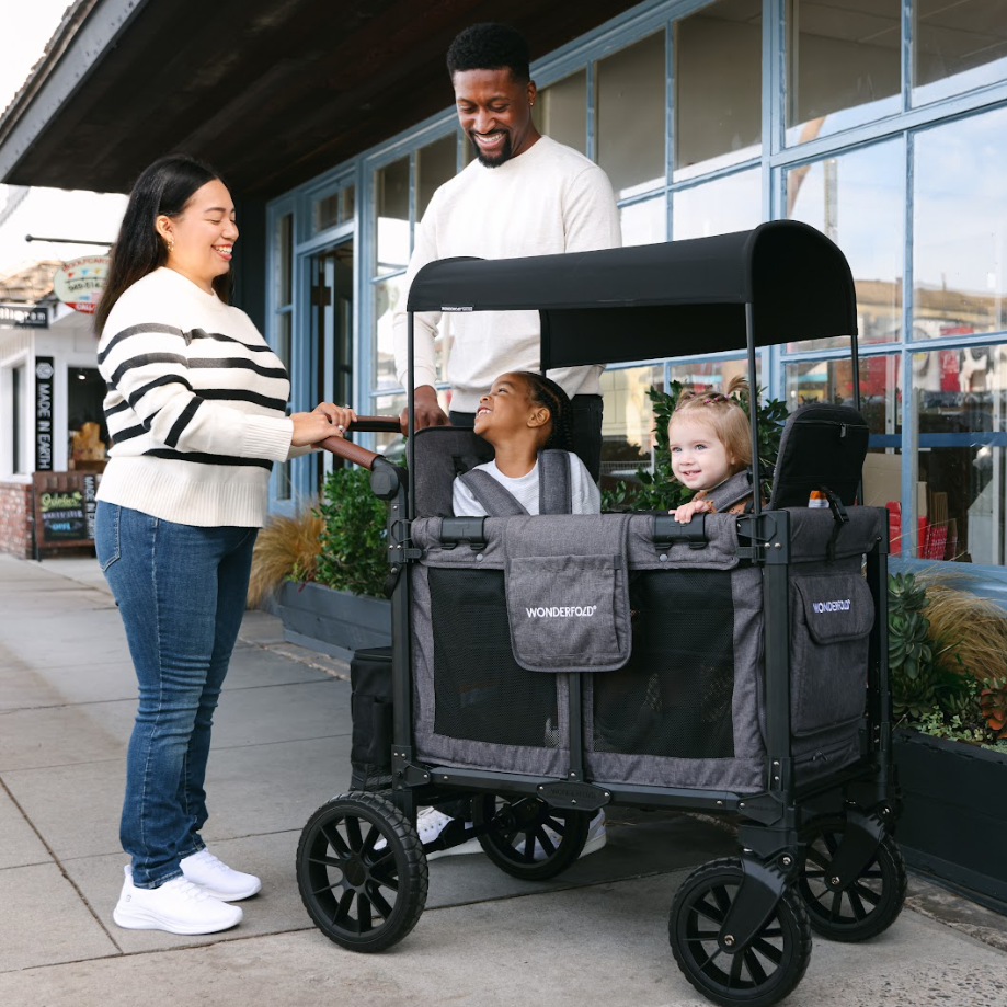 Wonderfold W2 Luxe Pro 2-Seater Stroller Wagon
