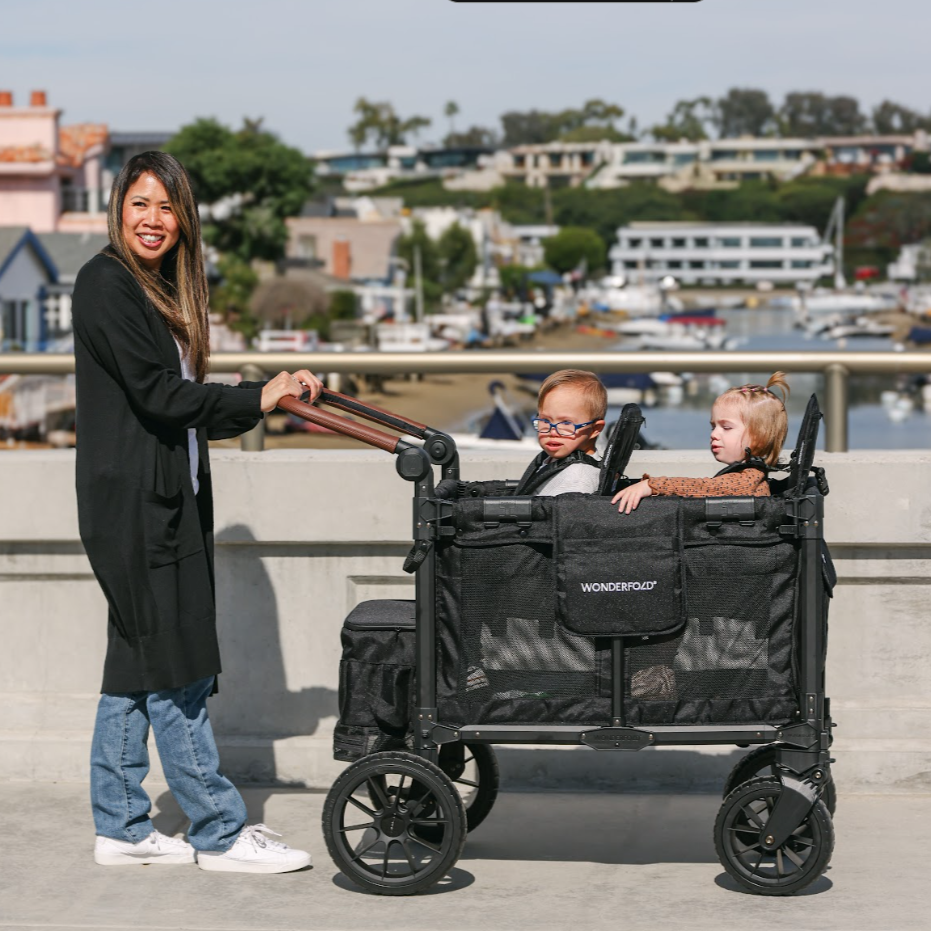 Wonderfold W2 Luxe Pro 2-Seater Stroller Wagon