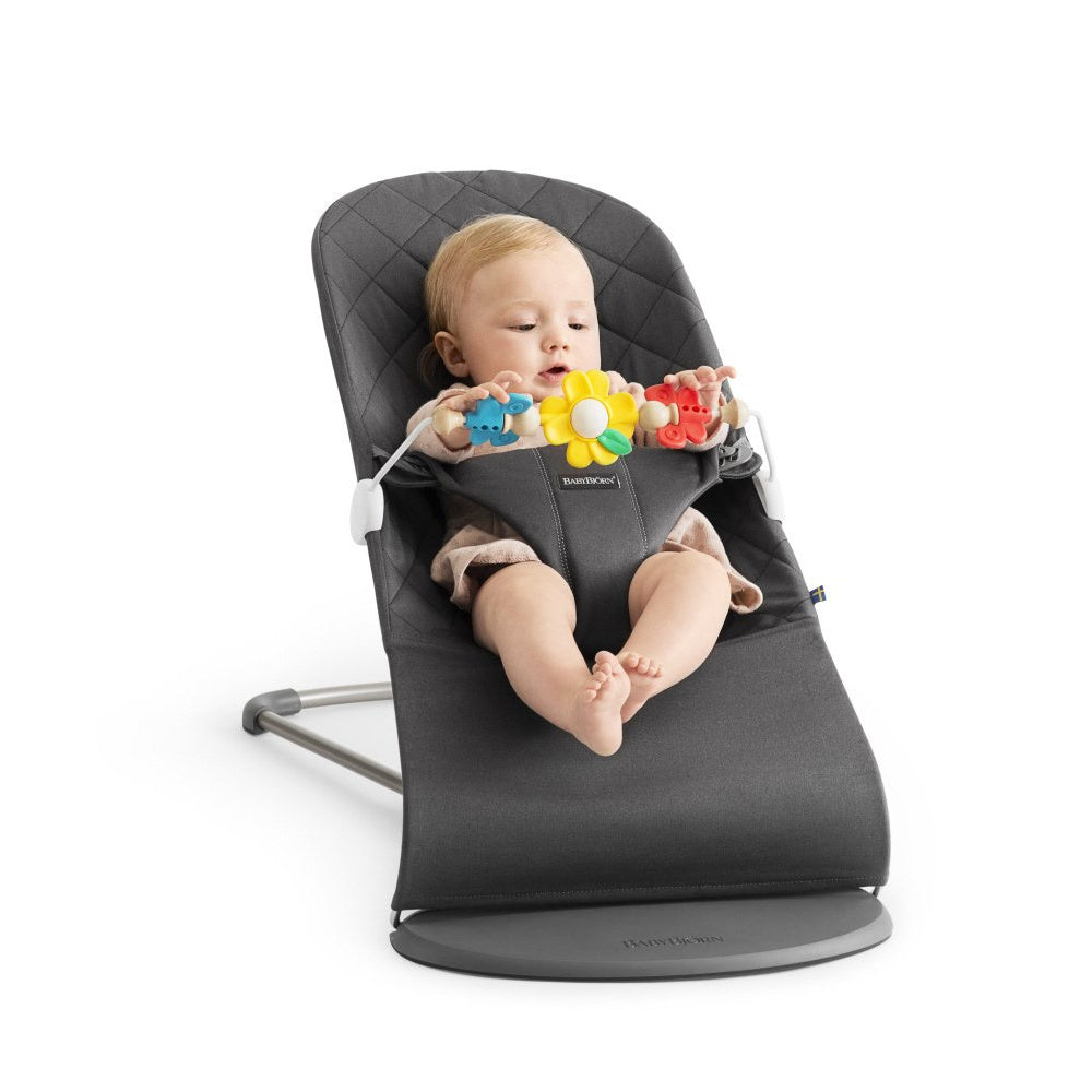 BabyBjorn Flying Friends Toy for Bouncer