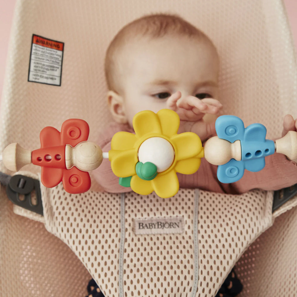 BabyBjorn Flying Friends Toy for Bouncer
