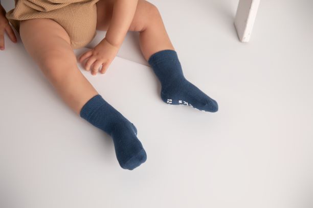 Squid Socks Bamboo Socks | Colby Collection