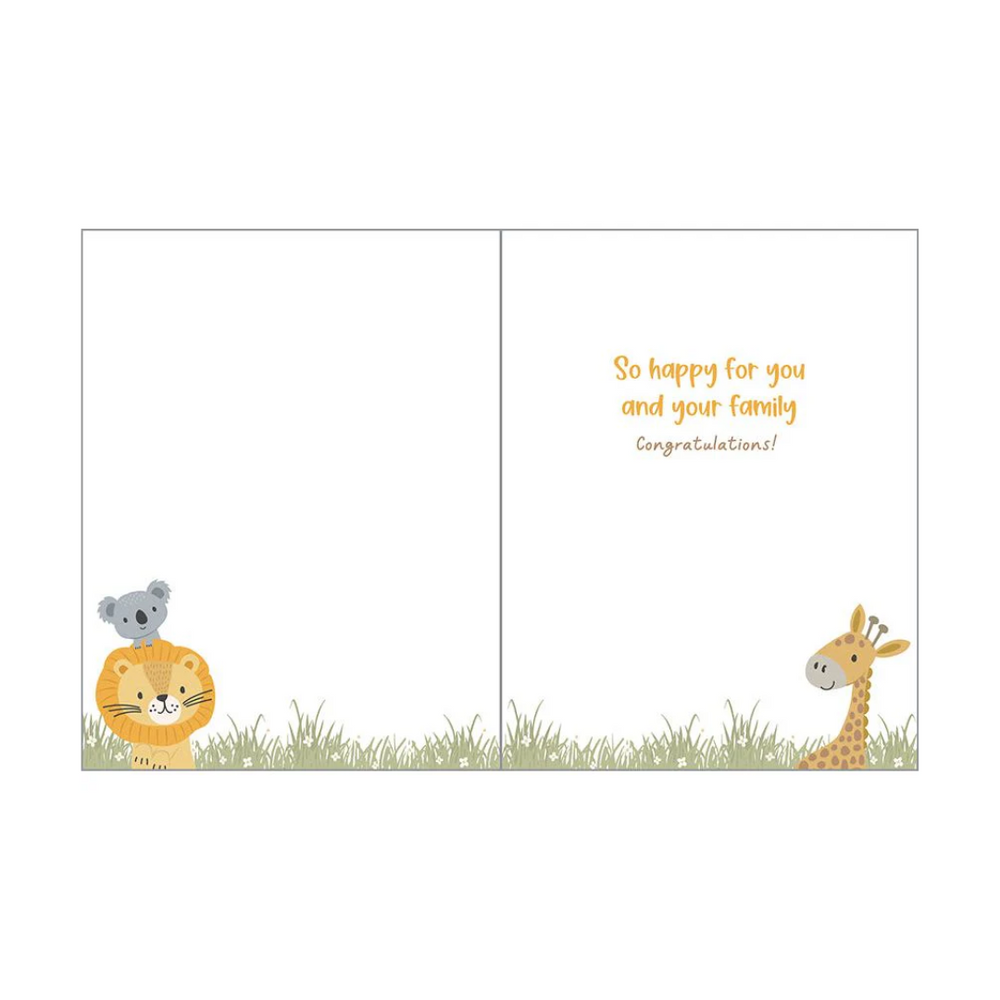 Baby Greeting Card | Animal Hammock