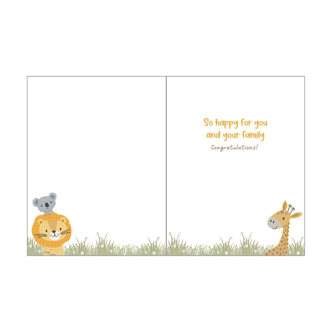 Baby Greeting Card | Animal Hammock