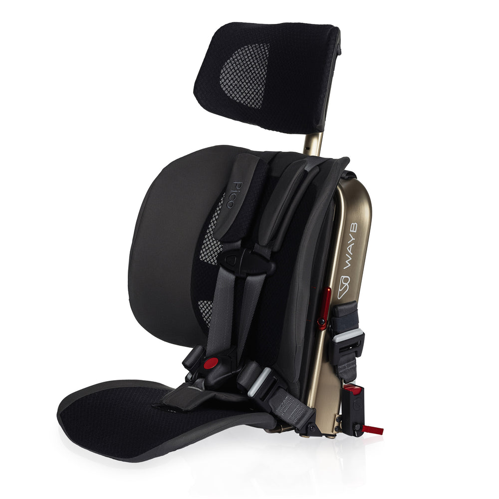 WAYB Pico Portable Car Seat (in store exclusive)