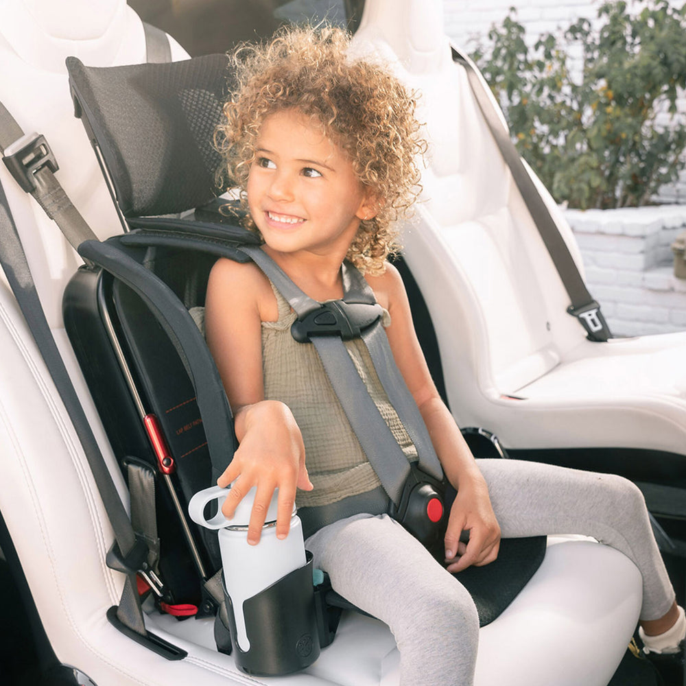 WAYB Pico Portable Car Seat (in store exclusive)