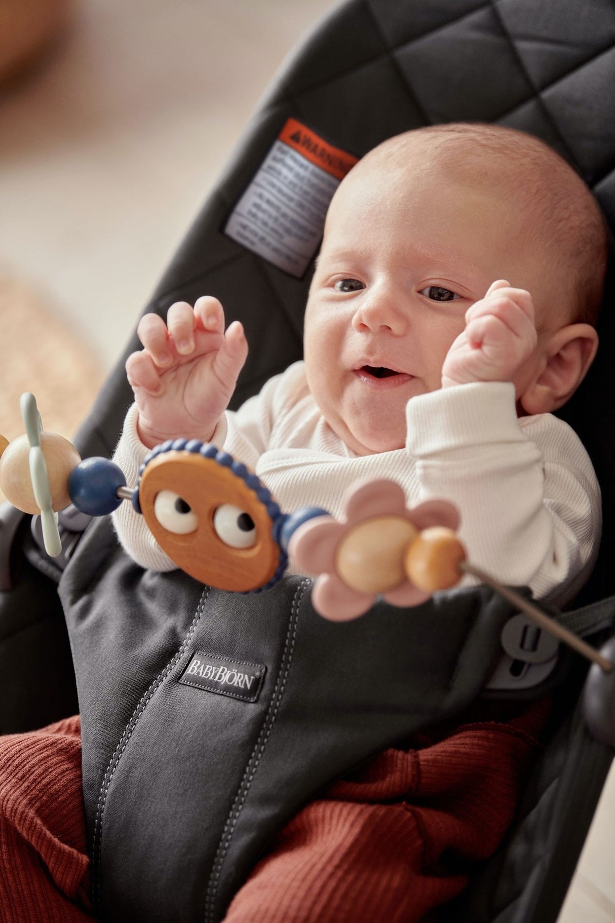 BabyBjorn Bouncer Googly Eyes Toy