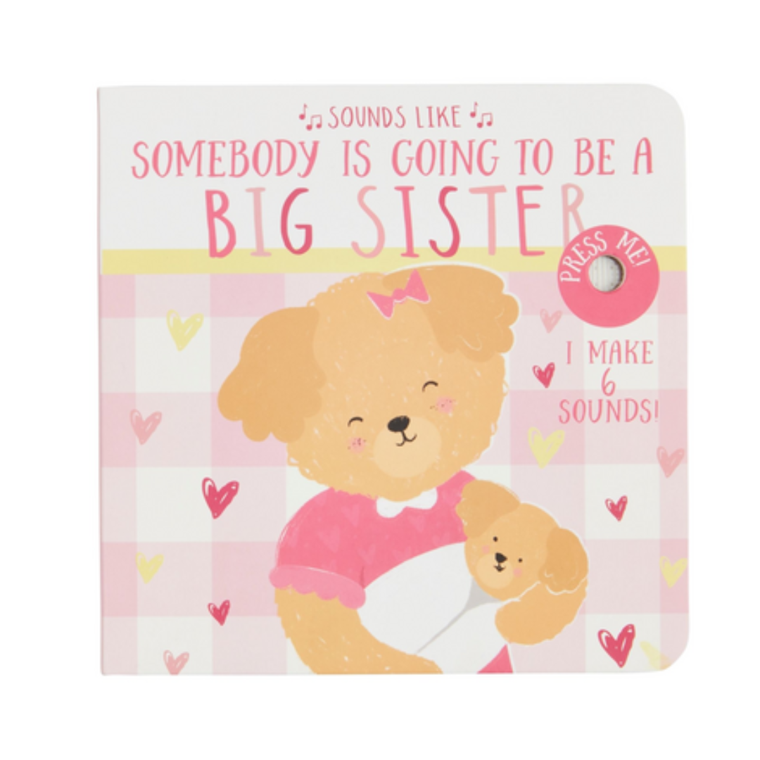 Sounds Like Big Sister Book