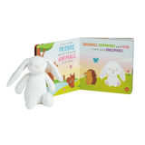 Bunny Book with Plush Toy Gift Set