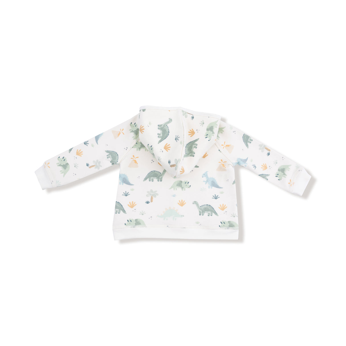 Angel Dear Soft Dinos Green Raglan Sweatshirt & Jogger Set
