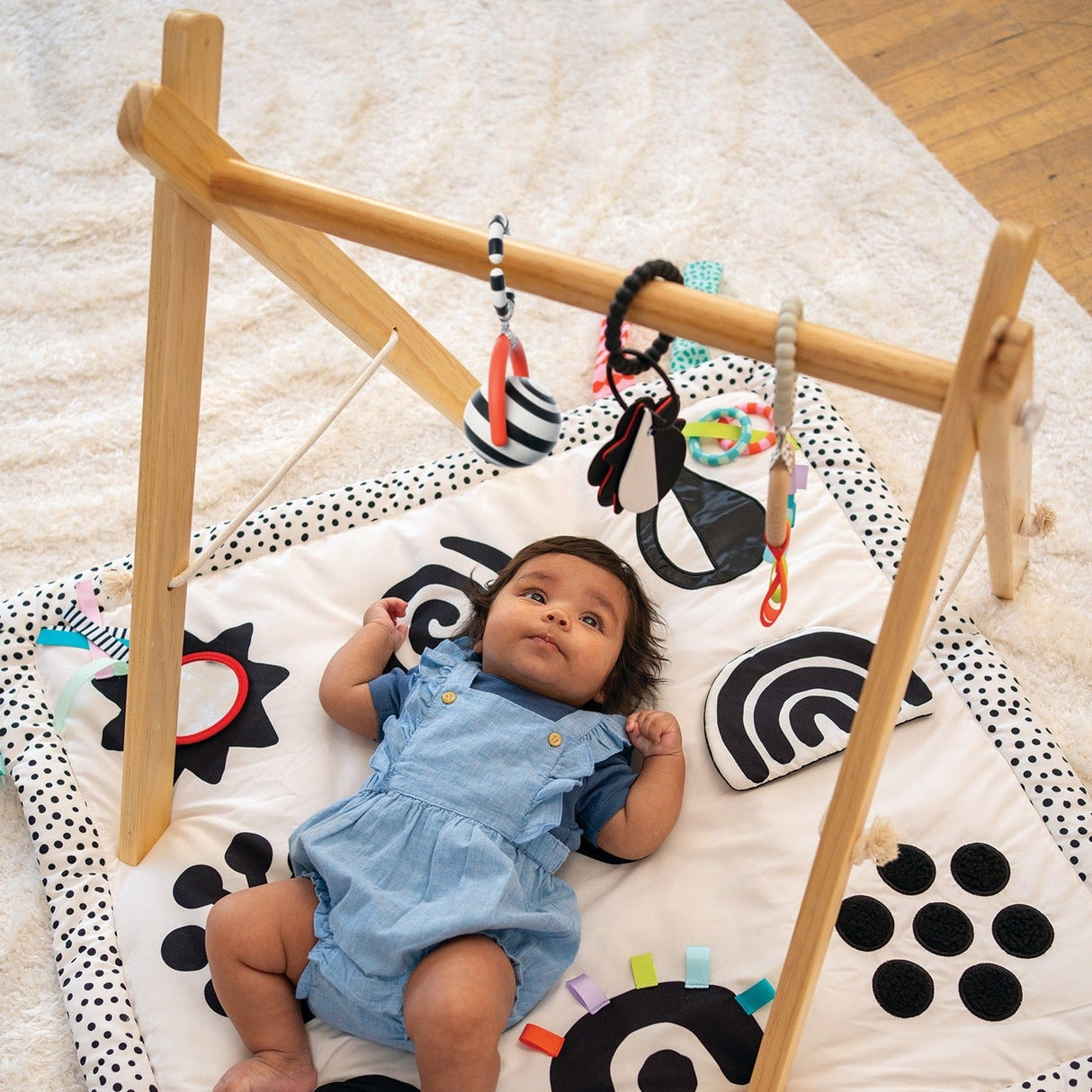 Wimmer Bullseye Ball Rattle Toy