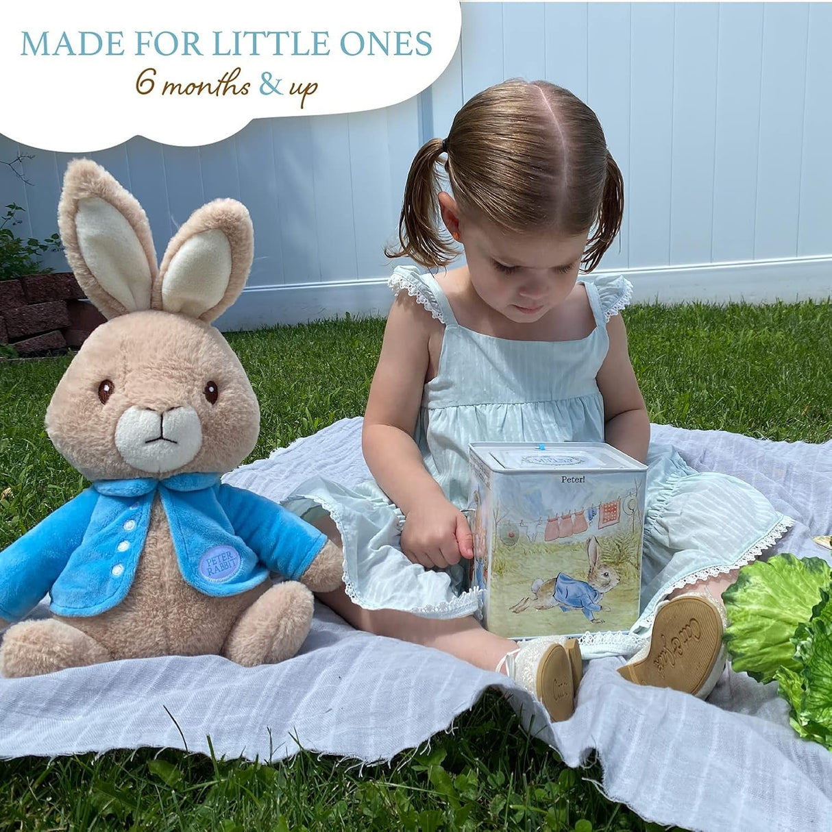 Peter Rabbit Jack-in-The-Box