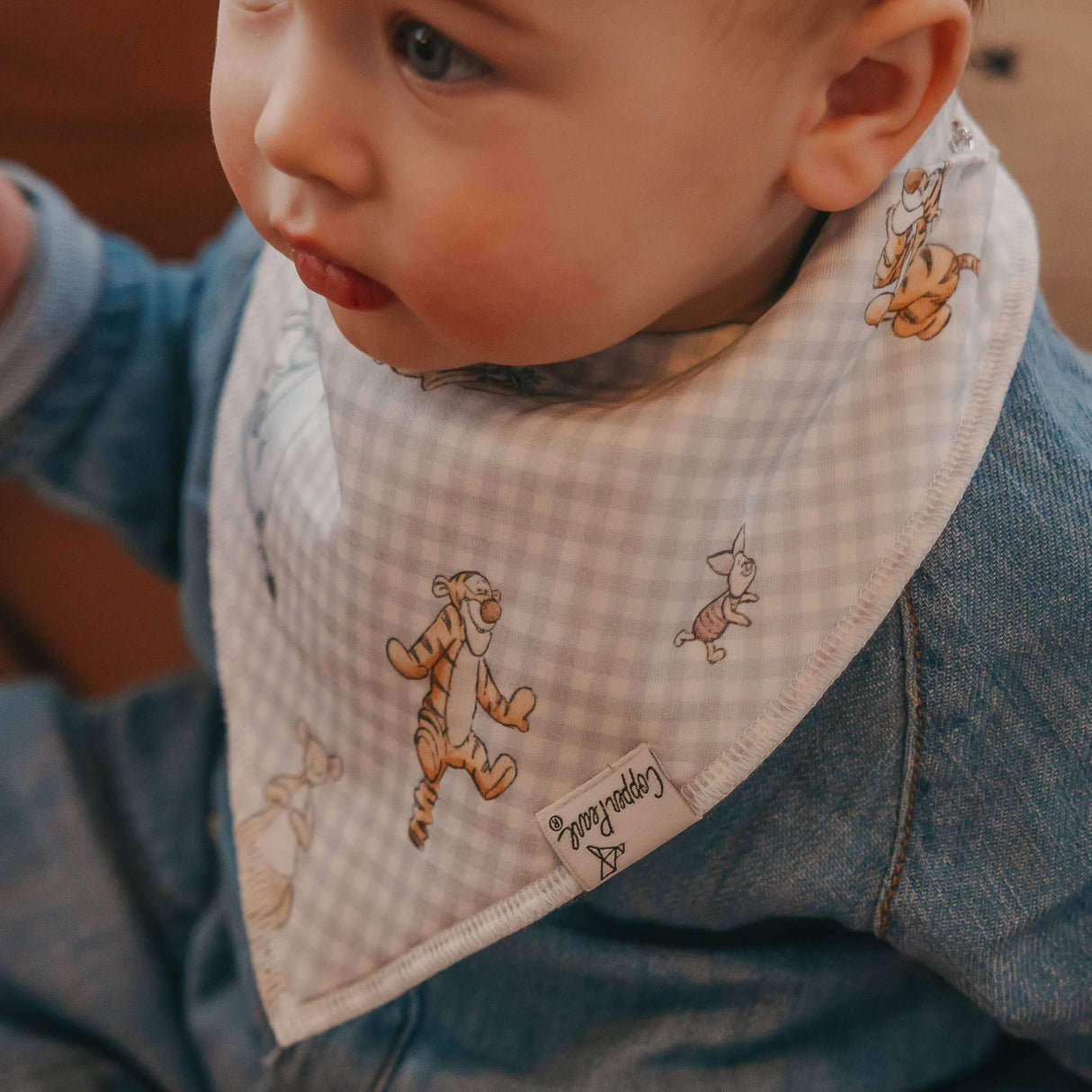 Copper Pearl Baby Bandana Bibs | Hundred Acre Wood
