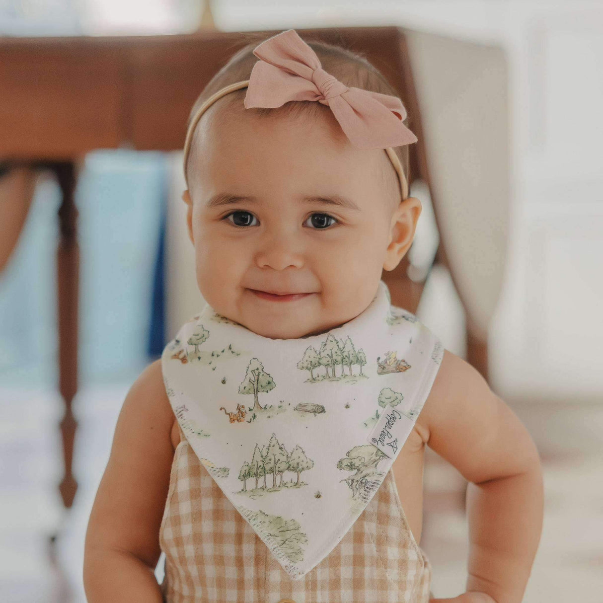 Copper Pearl Baby Bandana Bibs | Hundred Acre Wood