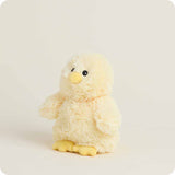 Warmies Chick Junior (9in)