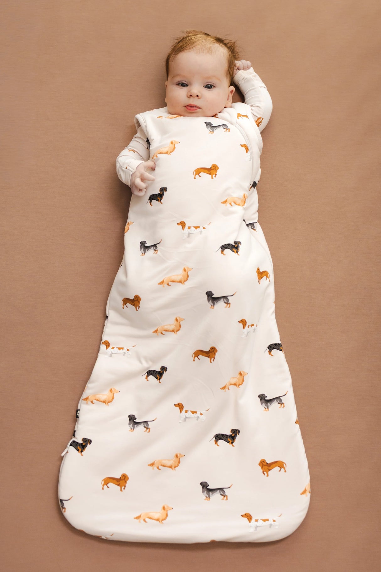 Kyte Baby Bamboo Sleep Bag 1.0 TOG | Dachshund