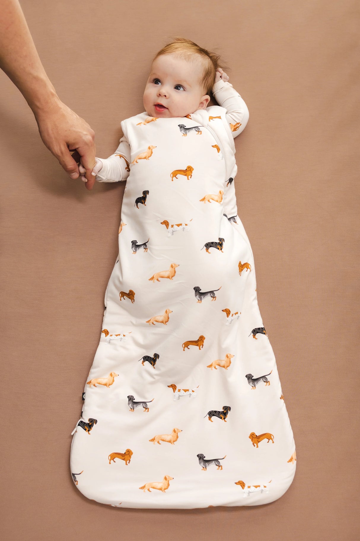 Kyte Baby Bamboo Sleep Bag 1.0 TOG | Dachshund