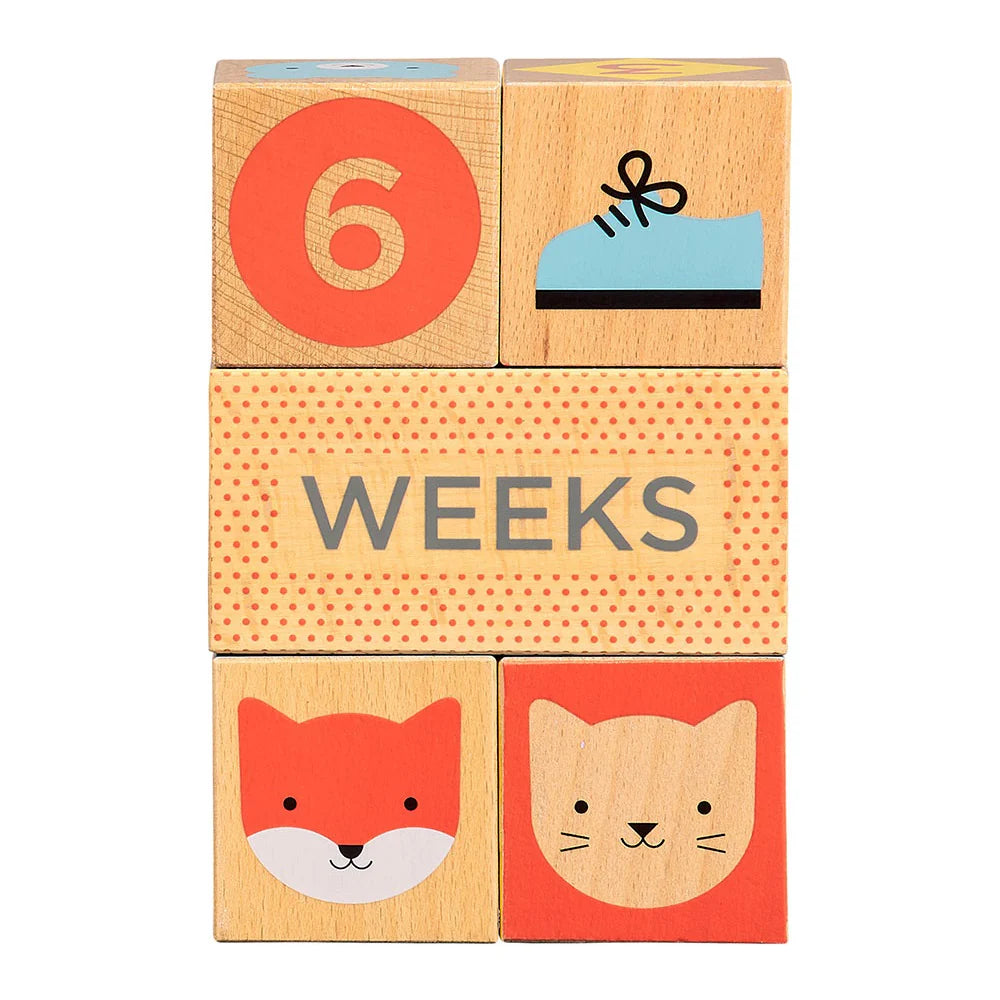 Petit Collage Wooden Baby Milestone Blocks