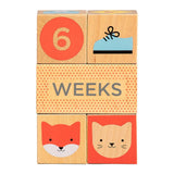 Petit Collage Wooden Baby Milestone Blocks