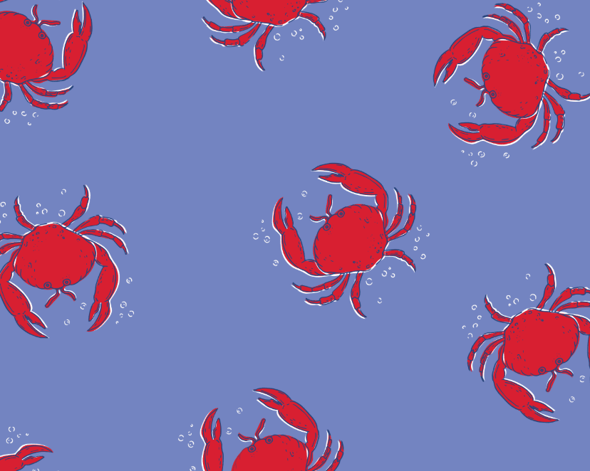 Sugar Bee Clothing Coastal Crab Reversible Swim Towel