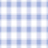 Sugar Bee Clothing Hooded Towel Blue Gingham