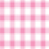 Sugar Bee Clothing Baby Pink Soft Gingham Hooded Bath Towel