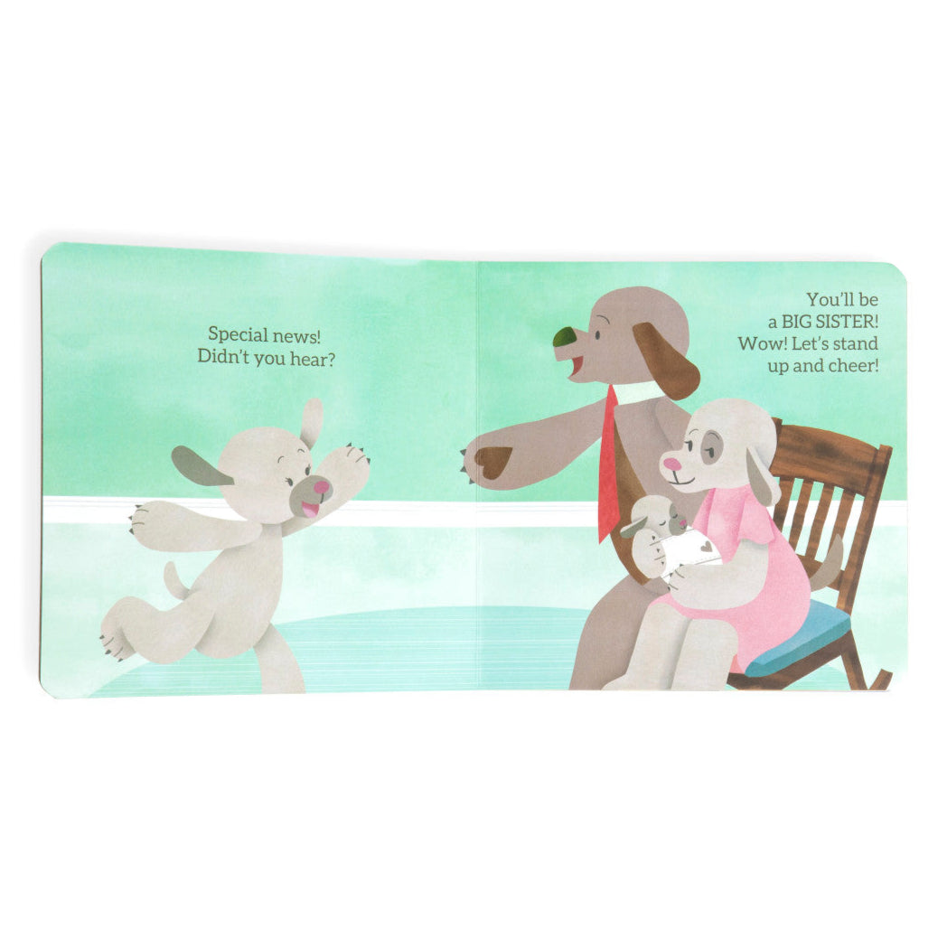 Demdaco Celebrate Me | You're Going to Be A Big Sister Board Book
