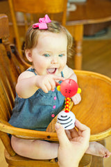 NogginStik Sensory Rattle Toy