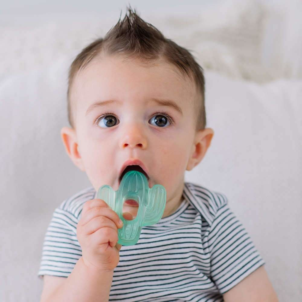Cutie Coolers - Water Filled Teethers (3 pack)